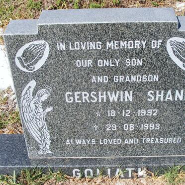 GOLIATH Gershwin Shane 1992-1993