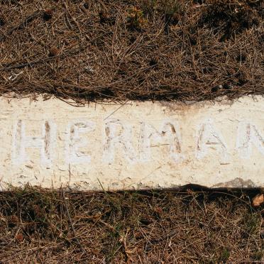 HERMAN ?