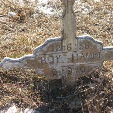HAUPT Roy 1936-2005