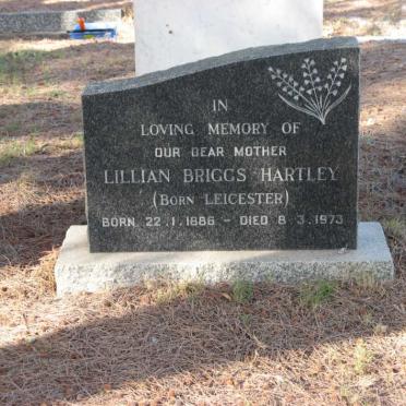 HARTLEY Lillian Briggs nee LEICESTER 1886-1973