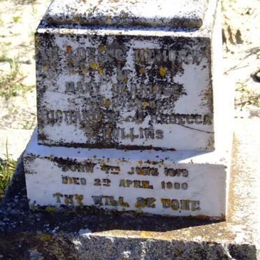 HOLLINS Mary C? 1879-1880