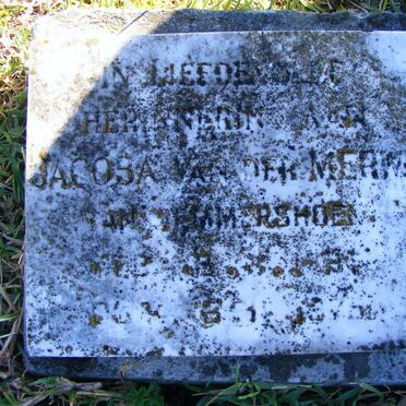 MERWE Jacoba, van der