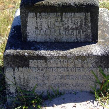 MACGILL David 1845-1917