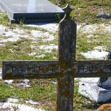 MITCHELL P.G. 1930-1995