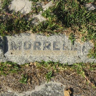 MORRELL
