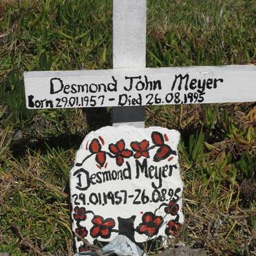 MEYER Desmond John 1957-1995