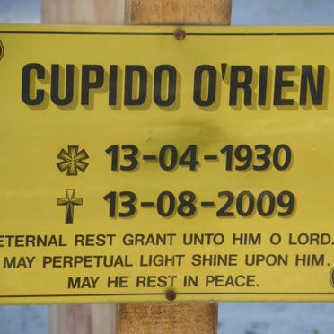 O'RIEN Cupido 1930-2009