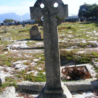 STEWARD Welby