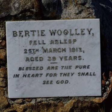 WOOLLEY Bertie -1913