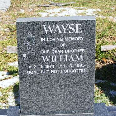 WAYSE William 1974-1995