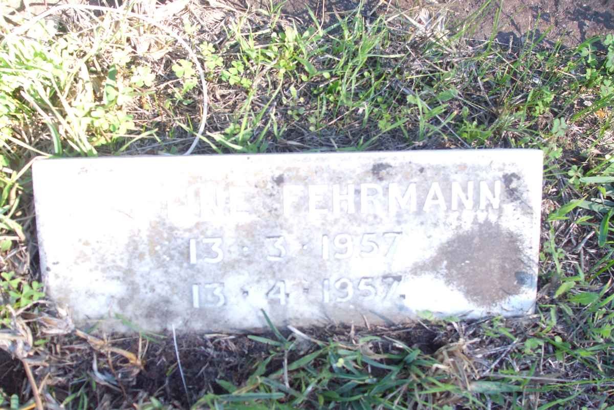 FEHRMANN ? 1957-1957