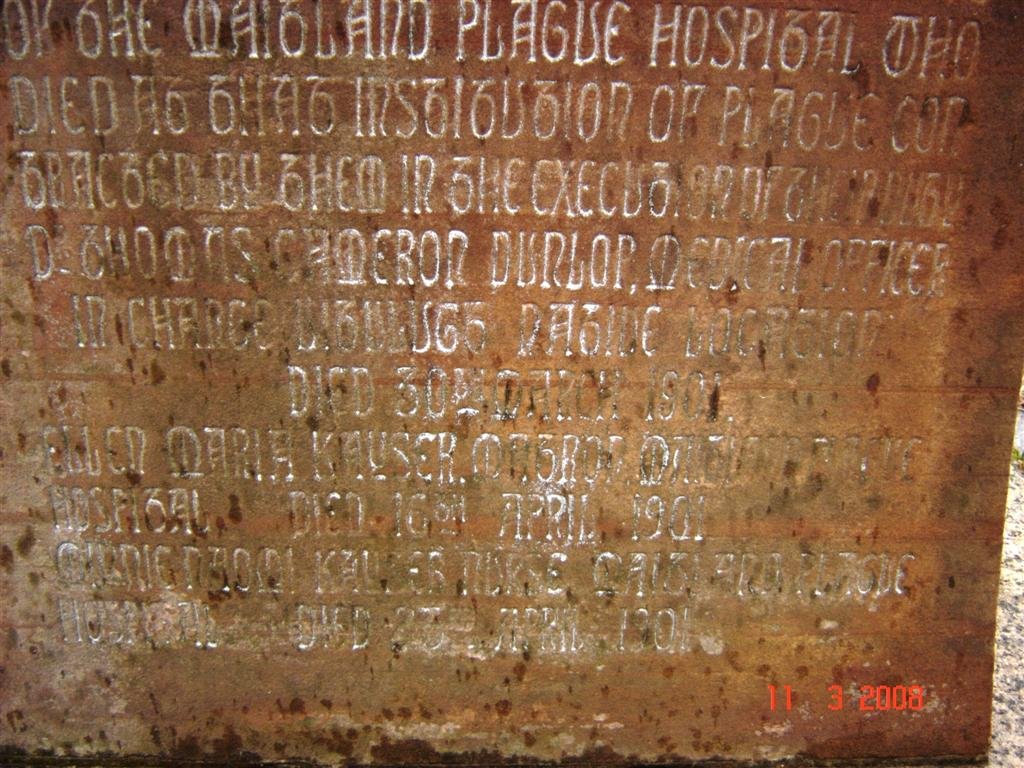 Maitland plague hospital_3