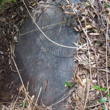 SCHOUW Thomas C. 1838-1889