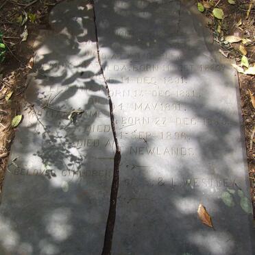 WESTLEY Children - see names