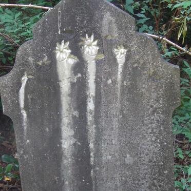 WALTERS Martha Ellen -1887 :: WALTERS Geo.J. -1888