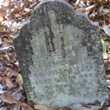 HORN George Irwin Seccombe -1887