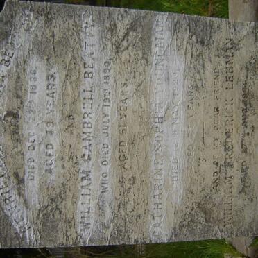 BEATTY :: YOUNGMAN :: LEHMAN