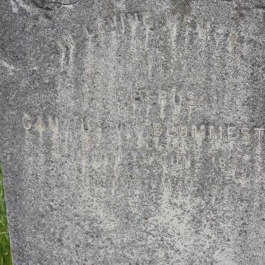 BLOMMESTEIN Canzius, van 1831-1889