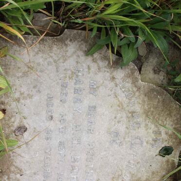 BARON Harry H.H. -1916