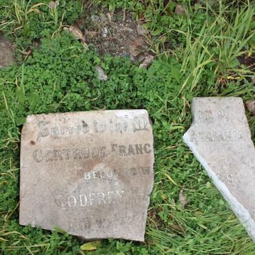 BAYNES Gertrude Francis Adriania ?