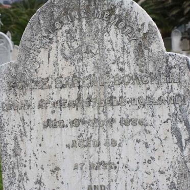 BONCKER :: ELLS :: VAN MINNEN 