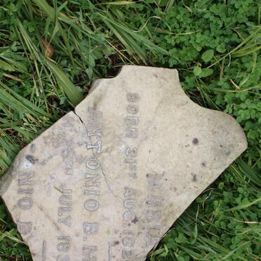 CHIAPPINI Antonio B.M.G. 1834-?  :: ? Maria 1826-?