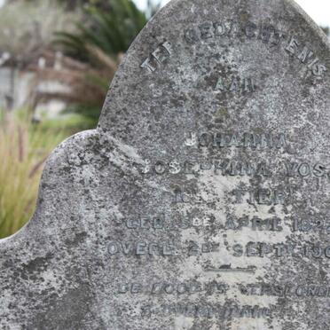 CLARKE :: VOS :: TIER 