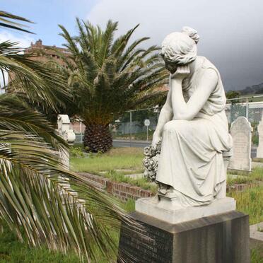 DOVE :: CALMEYER :: HOLMAN