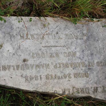 DREYER F.W. 1843-1907