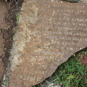 DYKMAN Elizabeth Helena 1869-18?0 :: ? Helena Martha C. nee DANTU 1836-1987 :: ? Fredrick ?