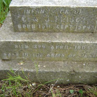 FRISCH 1904-1905