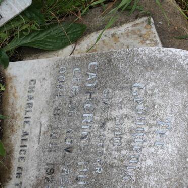 HULL Catherine 1858-1924