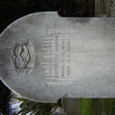 HOARE Gertrude 1852-1953