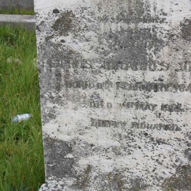 JOHNSON Petrus Johannes 1845-1921 &amp; Catherina F. PANNEWITZ -1911