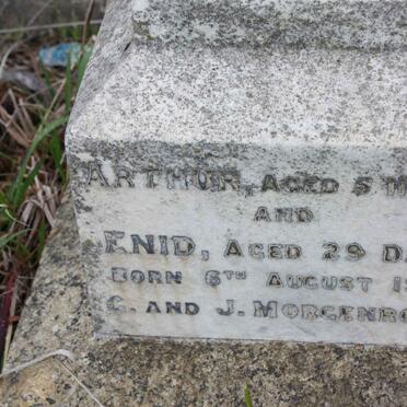 MORGENROOD Arthur 1903-1903 :: MORGENROOD Enid 1903-1903