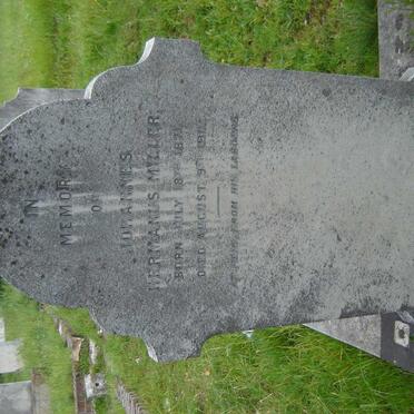 MILLER Johannes Hermanus 1871-1911