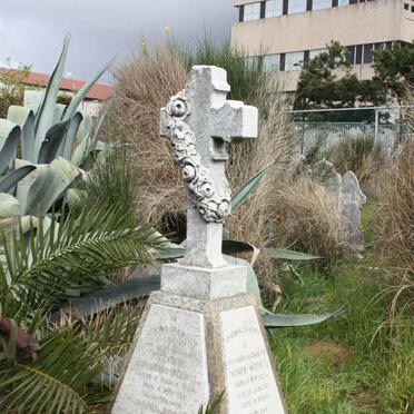 MORKEL :: DAVIS :: WILSNACH