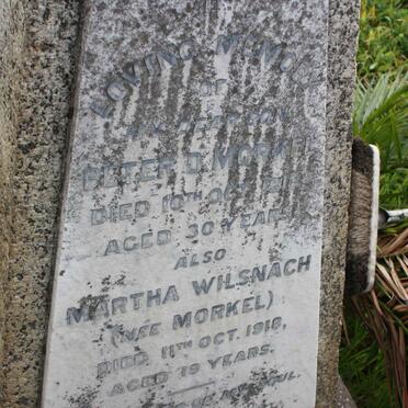 MORKEL :: DAVIS :: WILSNACH