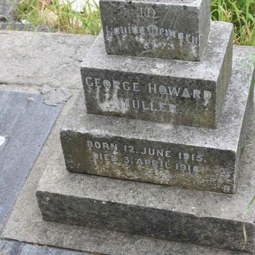 MULLER George Howard 1915-1916