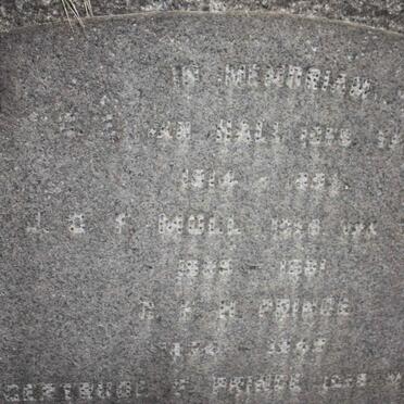 MOLL :: PRINCE :: BAM