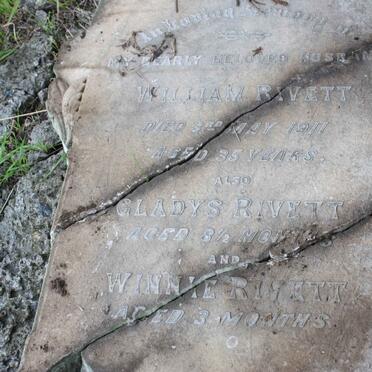 RIVETT William -1911 :: RIVETT Gladys  :: RIVETT Winnie