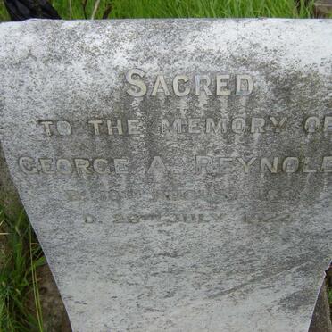 REYNOLDS George 184?-1922