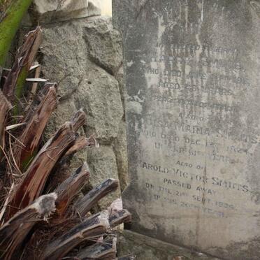 SMUTS Harry -1911 &amp; Louisa Maria -1924 :: SMUTS Harold Victor -1934