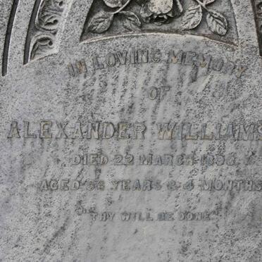 WILLIAMSON Alexander  1893