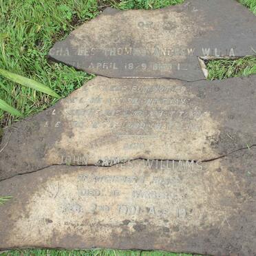 WILLIAMS Charles Thomas Andrew 1879-? :: WILLIAMS John James -1901