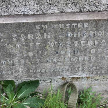 WASSERFALL Sarah Johanna Wolff 1895-1898