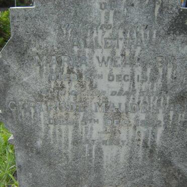 WEAKLEY Alletta Maria -1917 :: HAUPT Gertrude Maude -1922