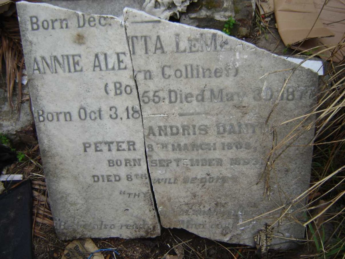 ? Annie Aletta nee COLLINER 1855-1877 :: DANTU Peter Andris 180?-1893