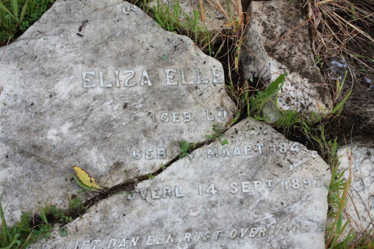 ? Eliza Elle? nee ? 184?-1897