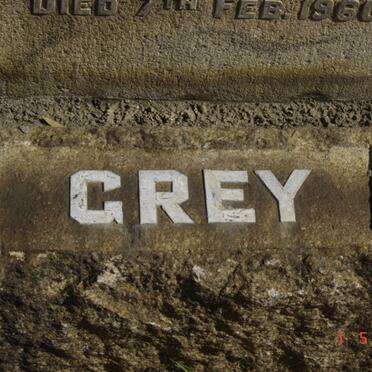 GREY